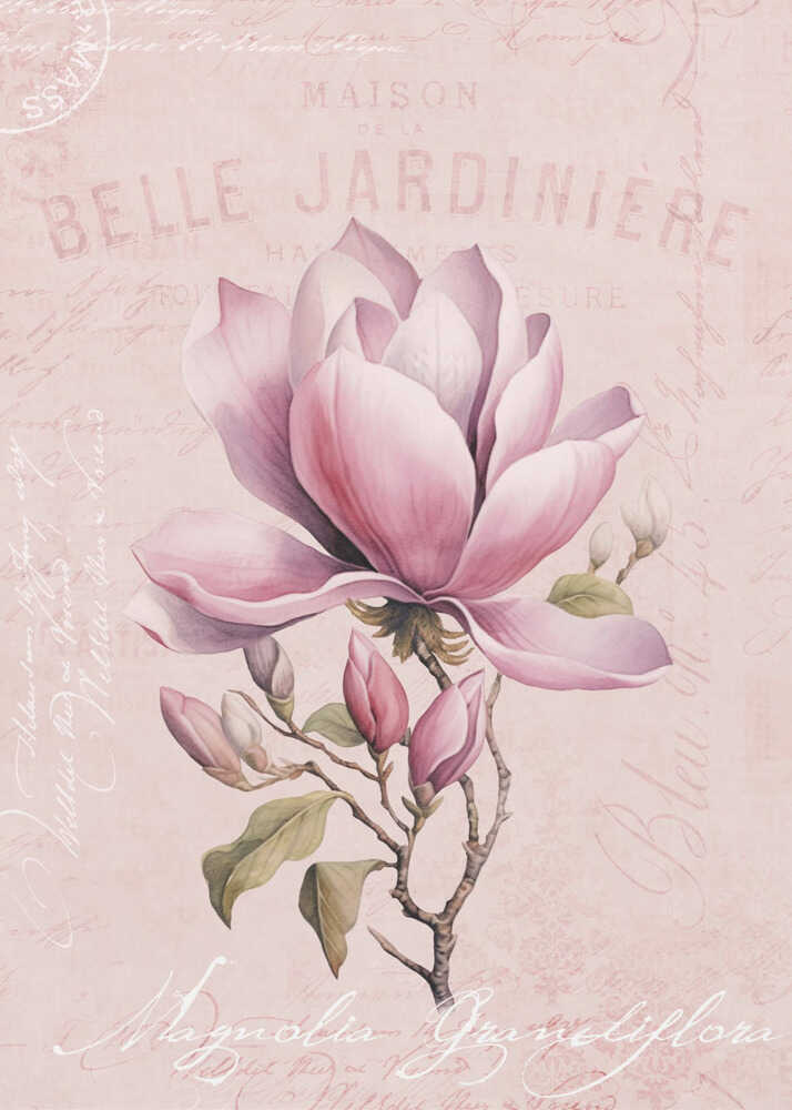 Magnolia Pink Nr. 2 | Leinwand