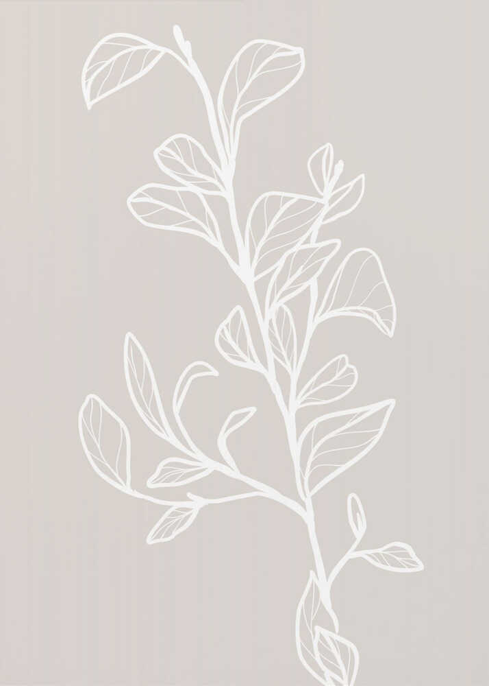 Garran branch with leaves in beige | Poster