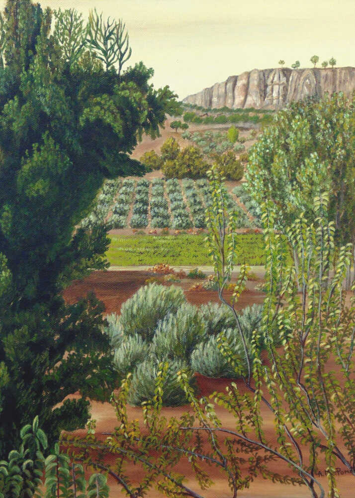 High Mountain Olive Trees | Poster