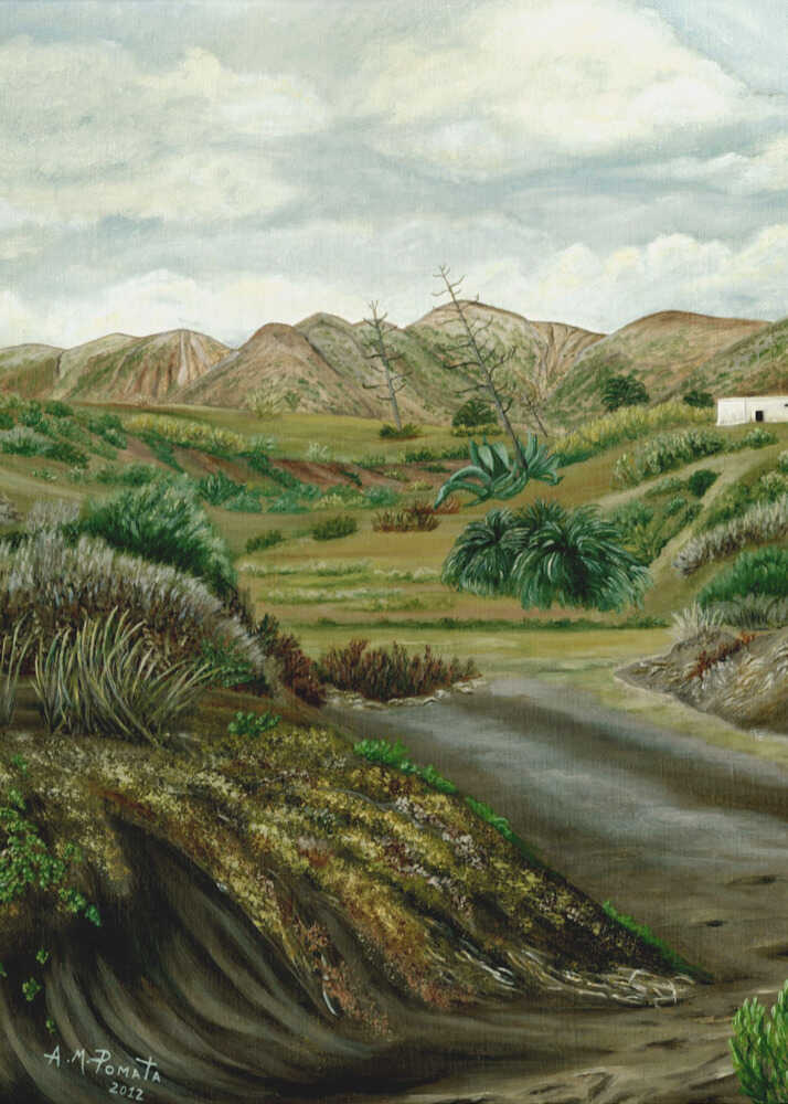 Pitas' Path | Poster