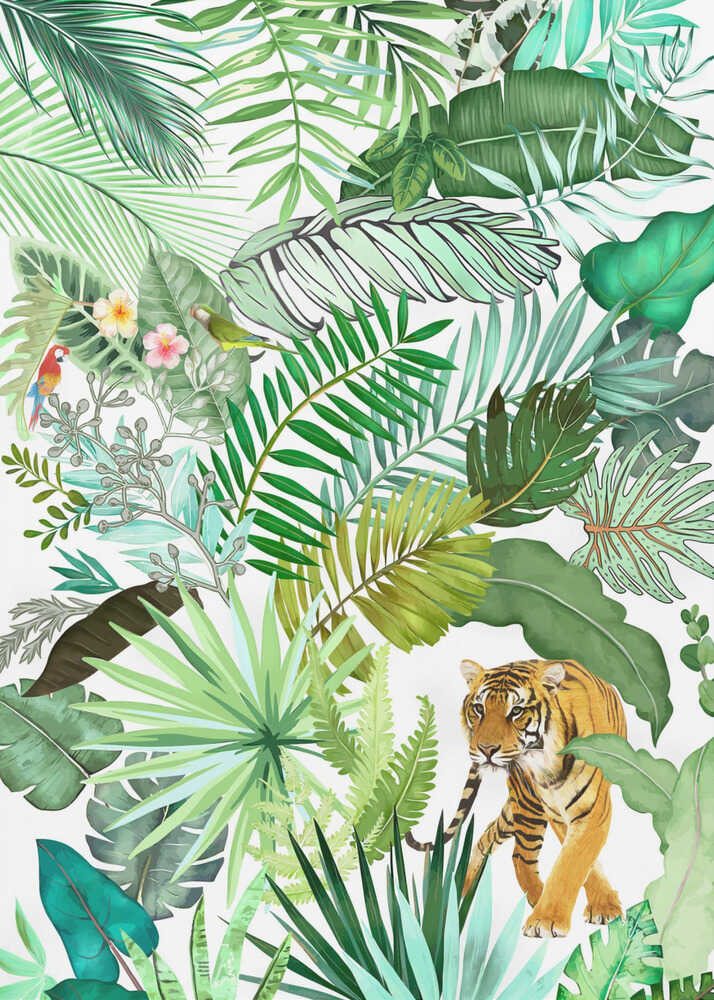 Tigre de la jungle 04 | Affiche