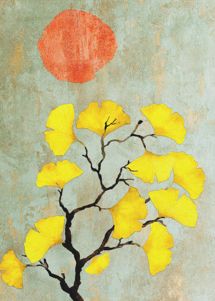 Ginko biloba and sun | Canvas