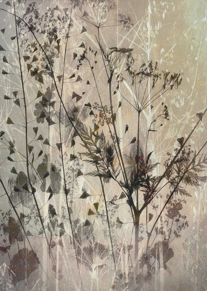 Field bouquet | Canvas