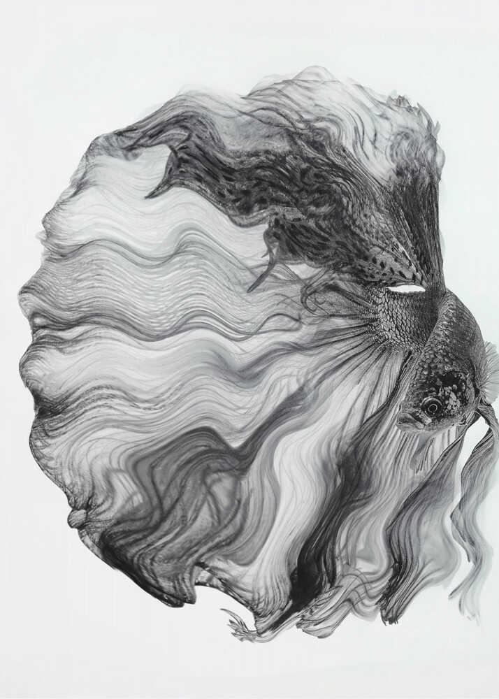 INK BETTA | Leinwand