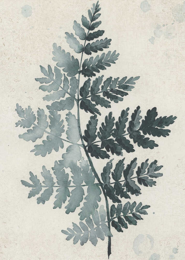 Teal watercolor fern 2 | Canvas