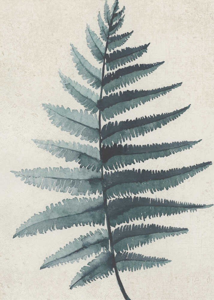 Teal watercolor fern 5 | Canvas