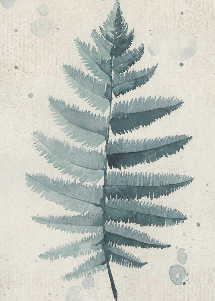 Teal watercolor fern 6 | Canvas