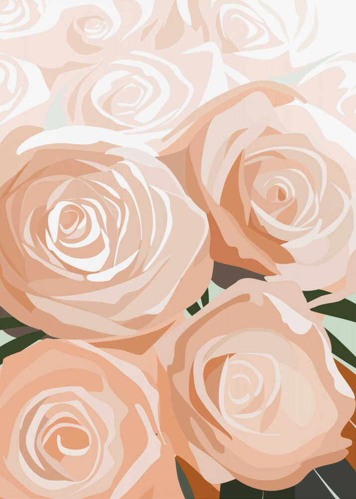 Coral roses | Poster
