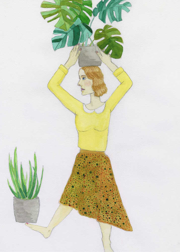 Chrysantheme | Poster