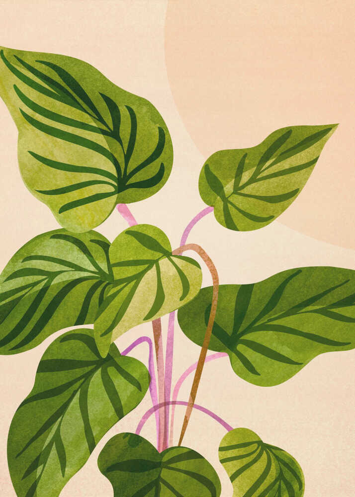 S'épanouir au soleil V2 | Affiche