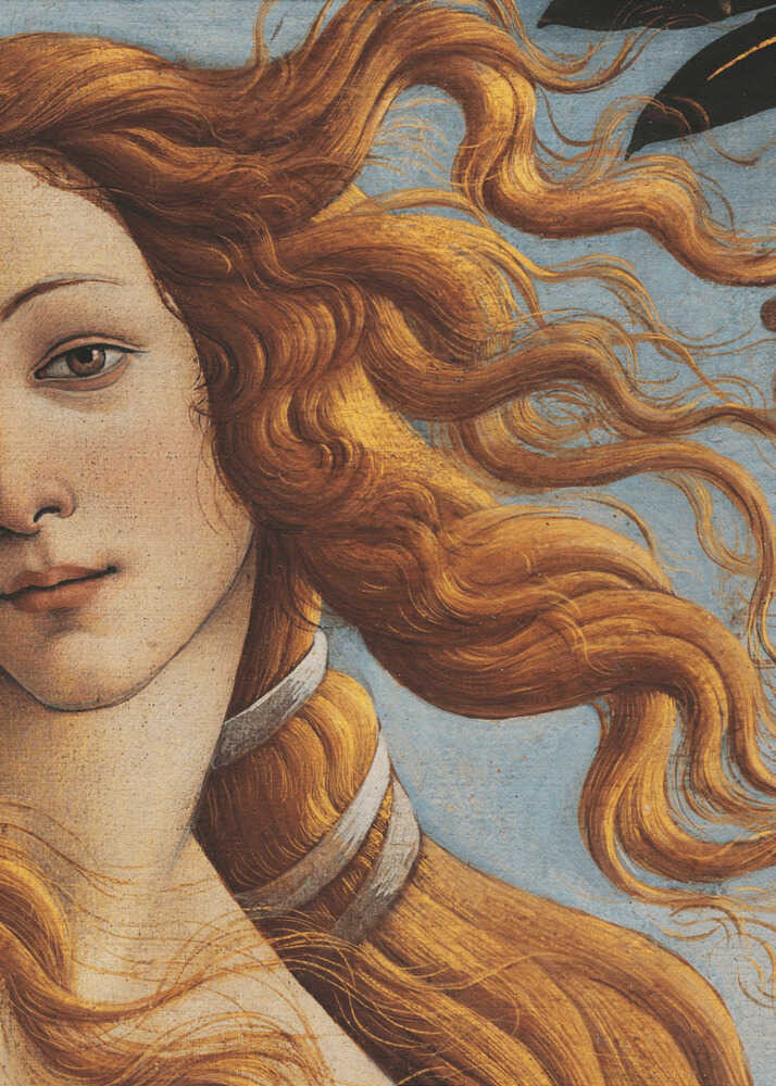 Die Geburt der Venus von Sandro Botticelli | Poster