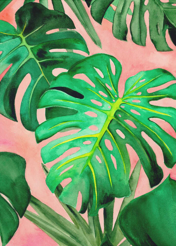 Monstera | Affiche