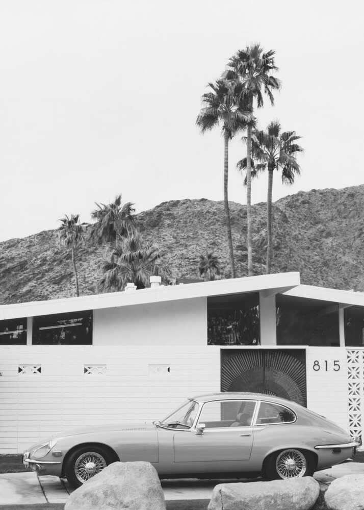 Palm Springs Ride II | Toile