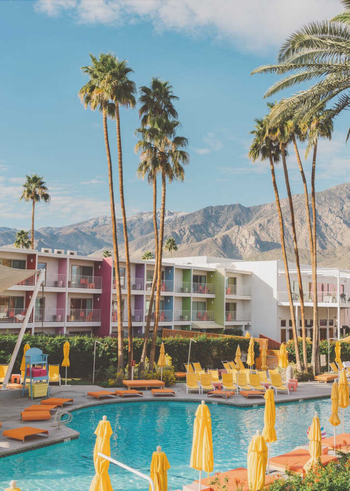 Palm Springs Saguaro | Leinwand