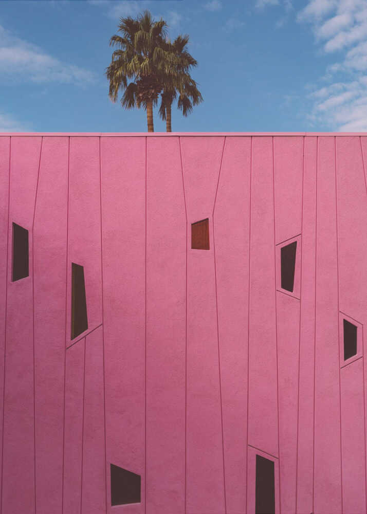 Palm Springs Vibes III | Leinwand