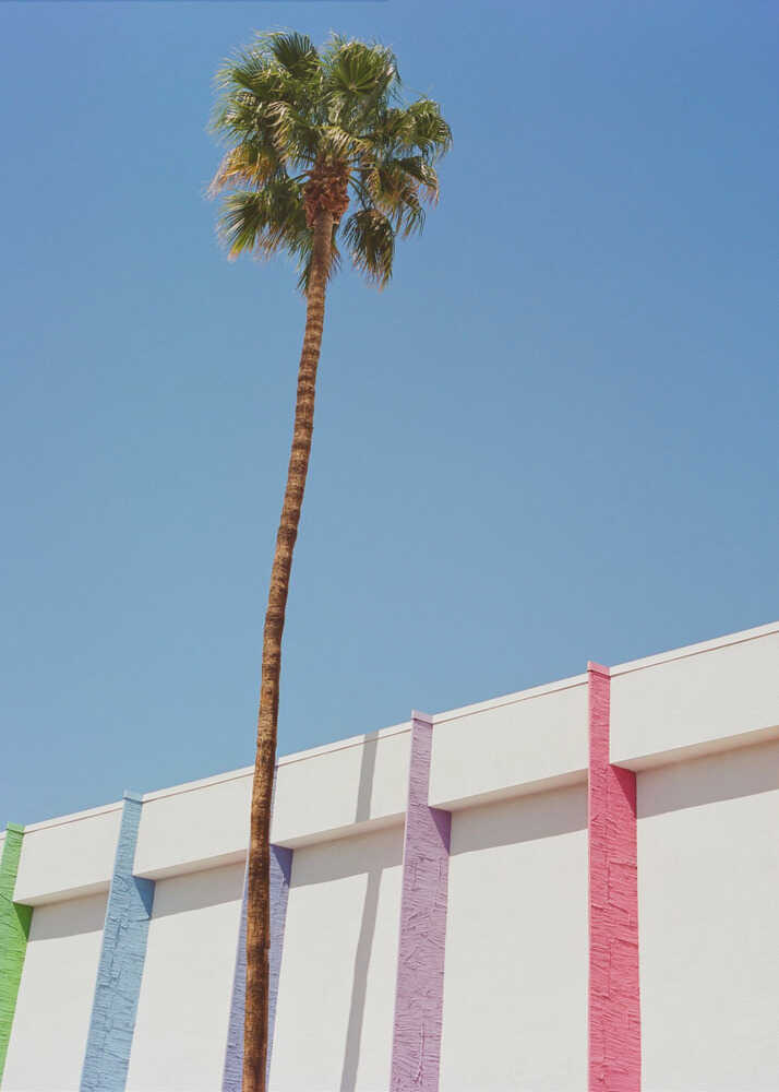 Palm Springs II | Canvas