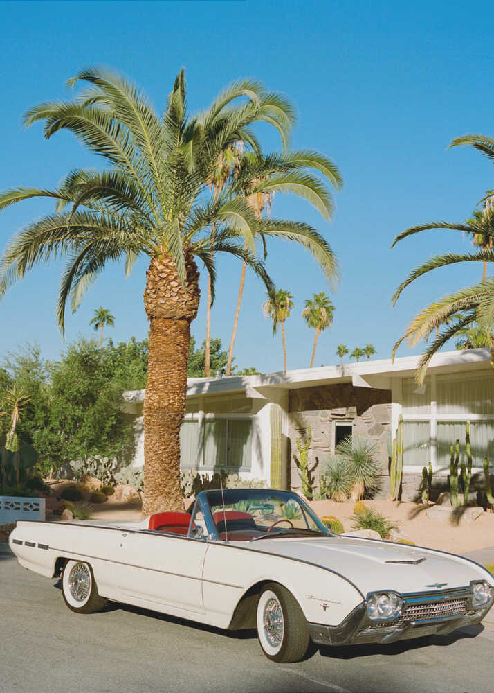 Palm Springs Thunderbird | Toile
