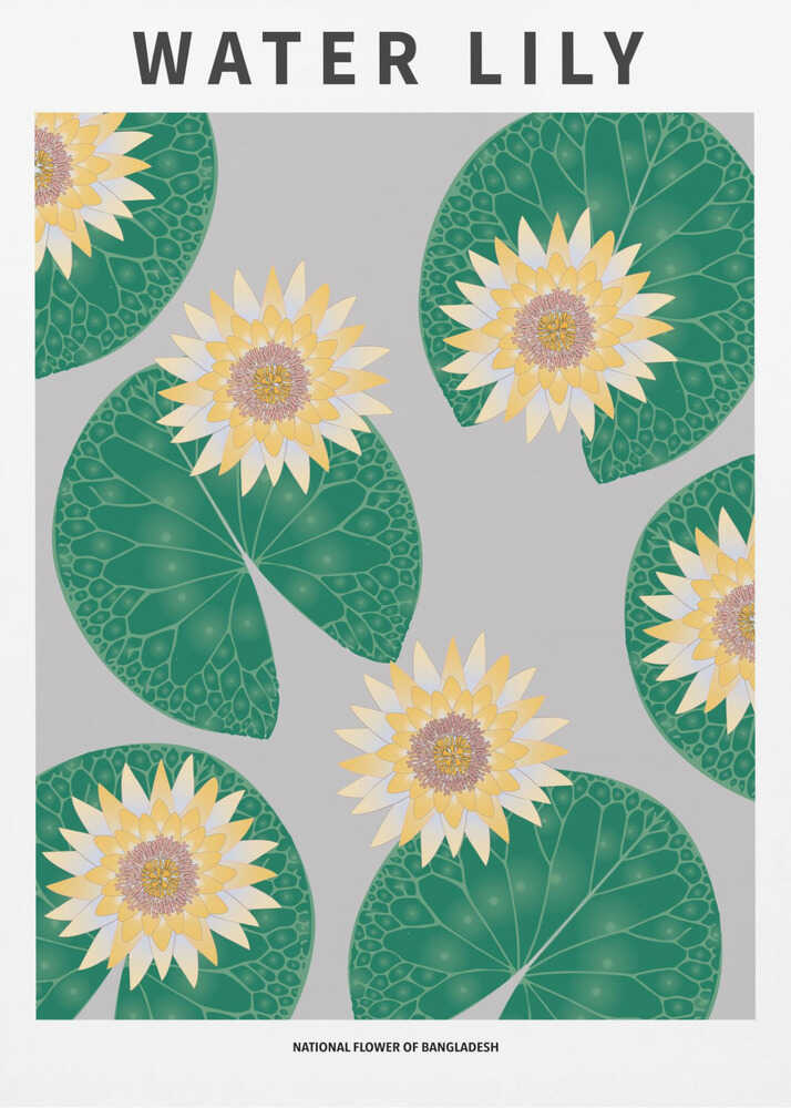 Nénuphar - Fleur nationale du Bangladesh | Affiche