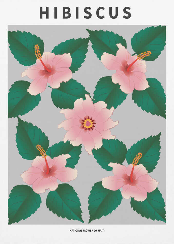 Hibiskus – Nationalblume Haitis | Poster