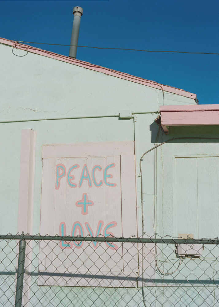 Joshua Tree Frieden | Leinwand