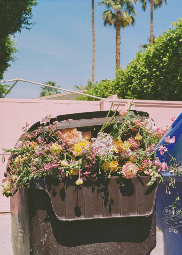 Bordure de trottoir de Palm Springs | Affiche