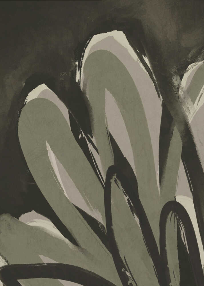 Pétales dans l'ombre | Affiche