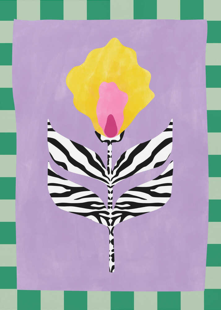 Fleur à feuilles zébrées | Affiche