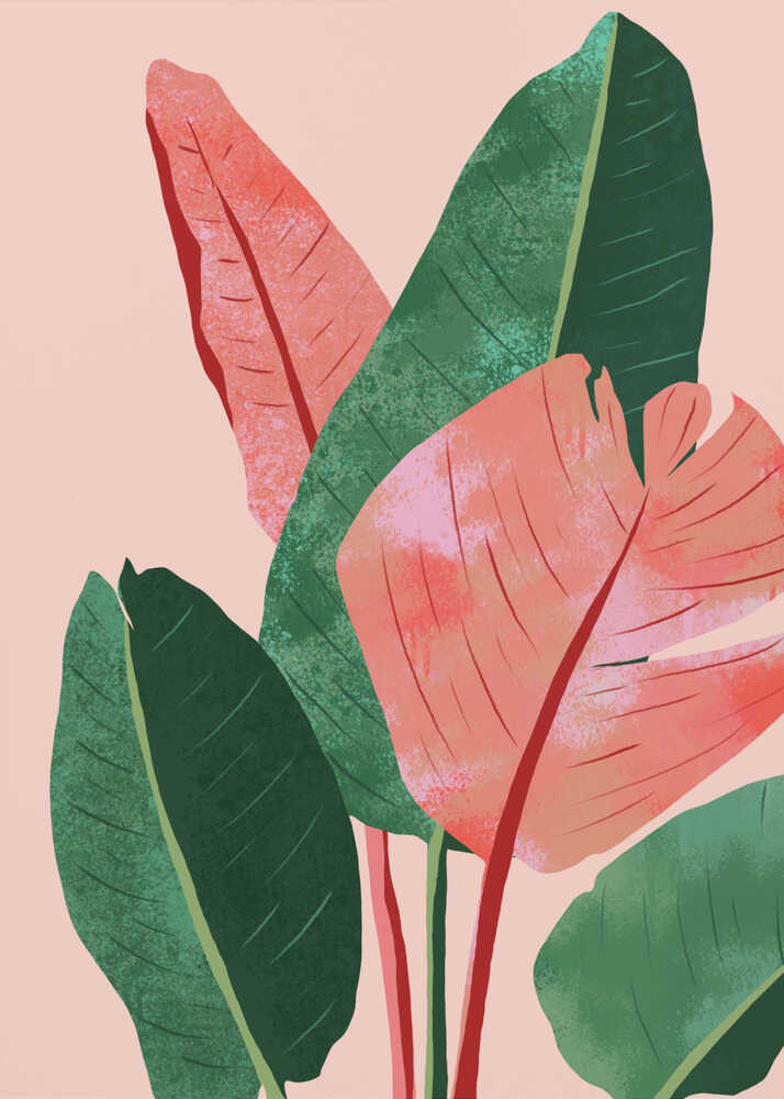 Blush Tropical | Affiche