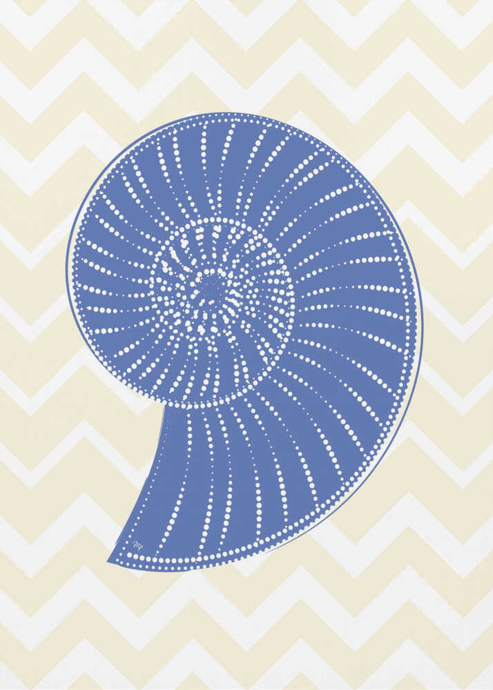 Blaue Spiralmuschel | Leinwand