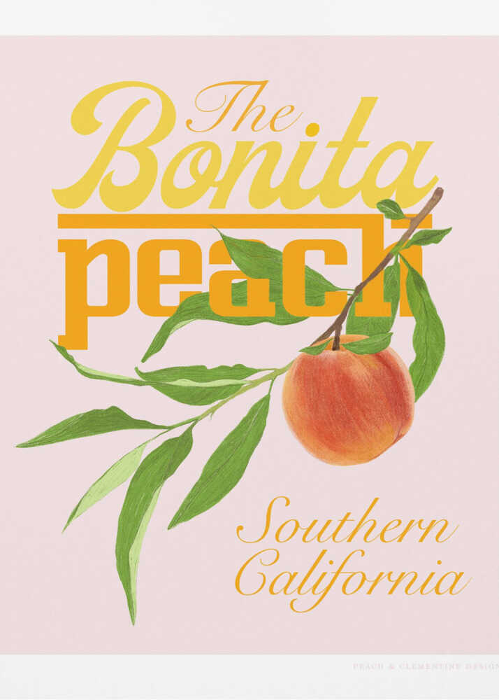 Copie de Pandcbonitapeach | Affiche