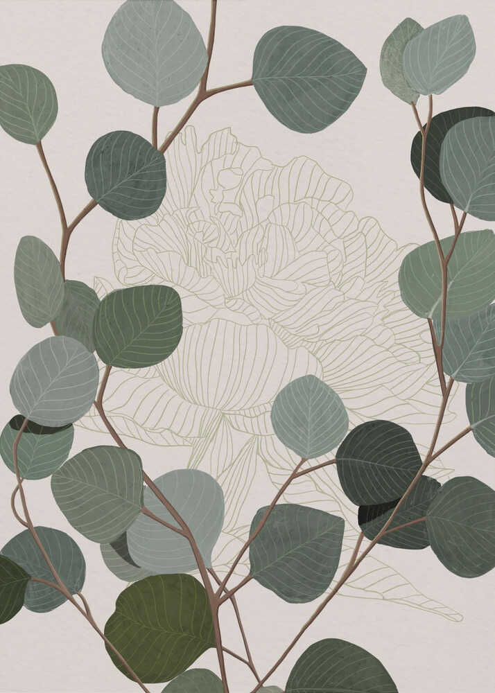 Runder Eukalyptus | Leinwand