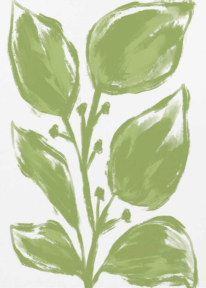 Leafy Green Essence | Canvas