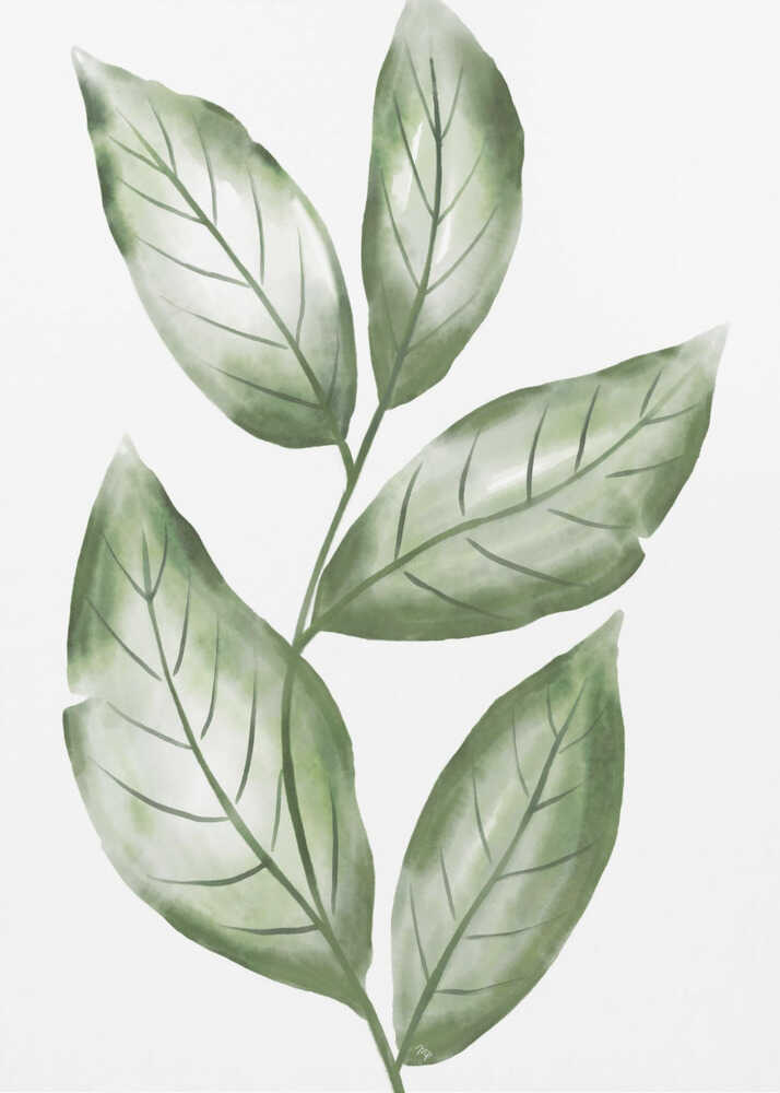 Zarter Zweig mit grünen Blättern | Leinwand