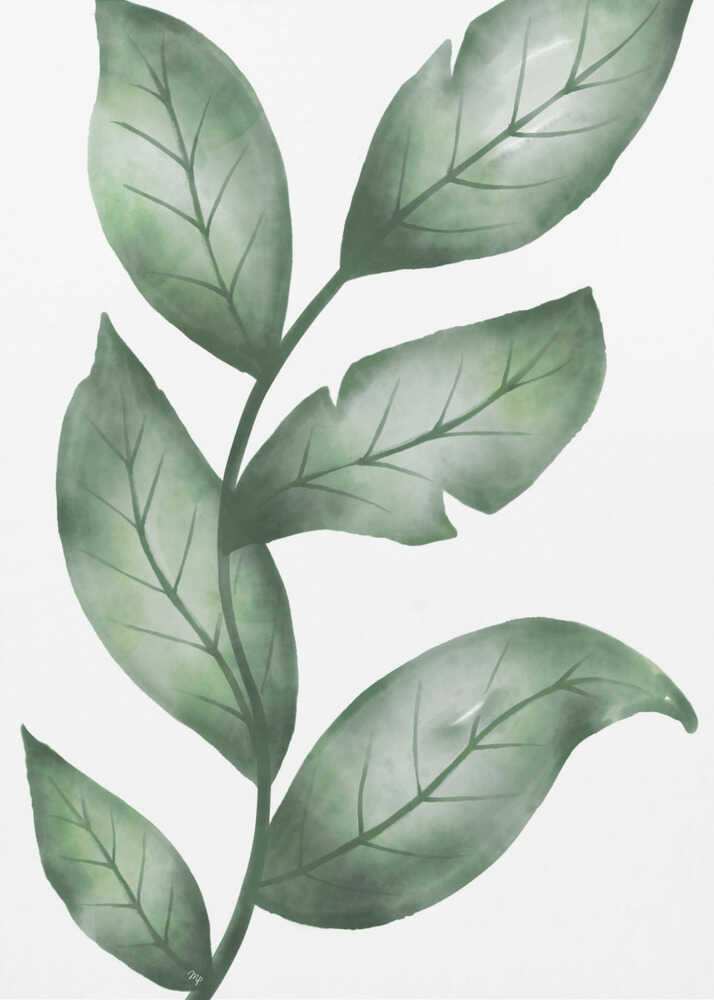 Realistische grüne Blattpflanze | Leinwand