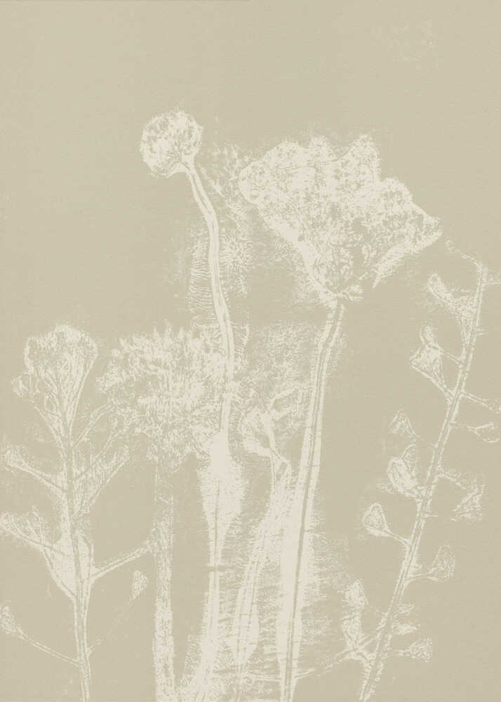 Motifs floraux abstraits. Plantes et fleurs blanches des prés sur fond beige neutre. | Toile
