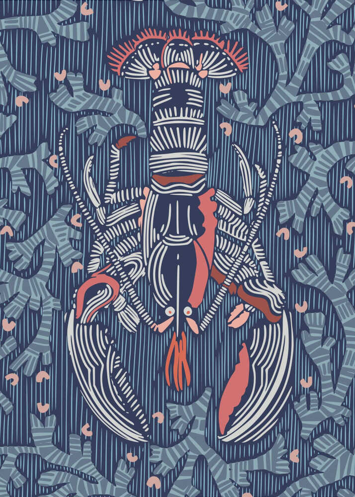 Crustacean Core Navy | Canvas