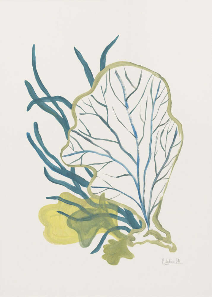 Algues n° 1 | Toile