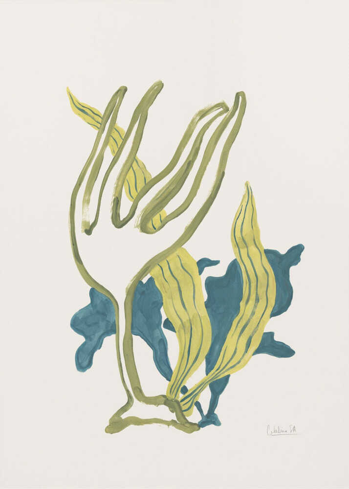 Algues n° 2 | Toile