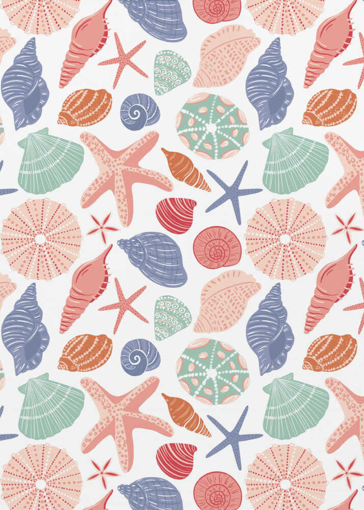 Muscheln und Seesterne - Weiß | Leinwand