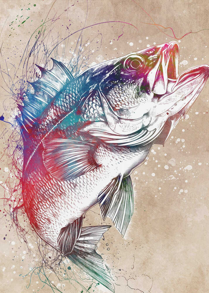 Sportfischen | Segeltuch