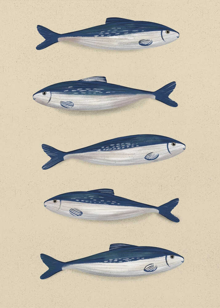 Sardines | Toile