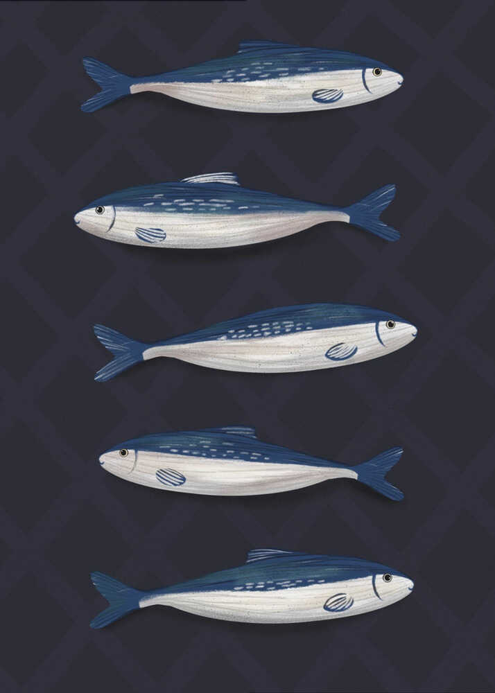 Sardines | Toile