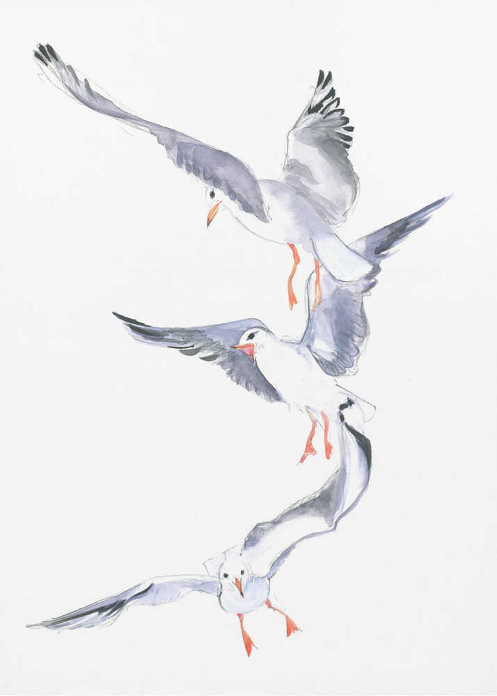 Möwenflug | Leinwand