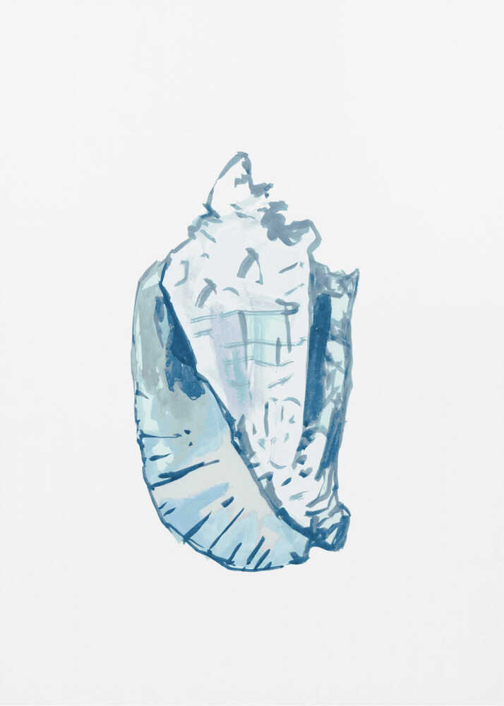 Blaue Muschel auf weißem Hintergrund Nr. 6 | Leinwand