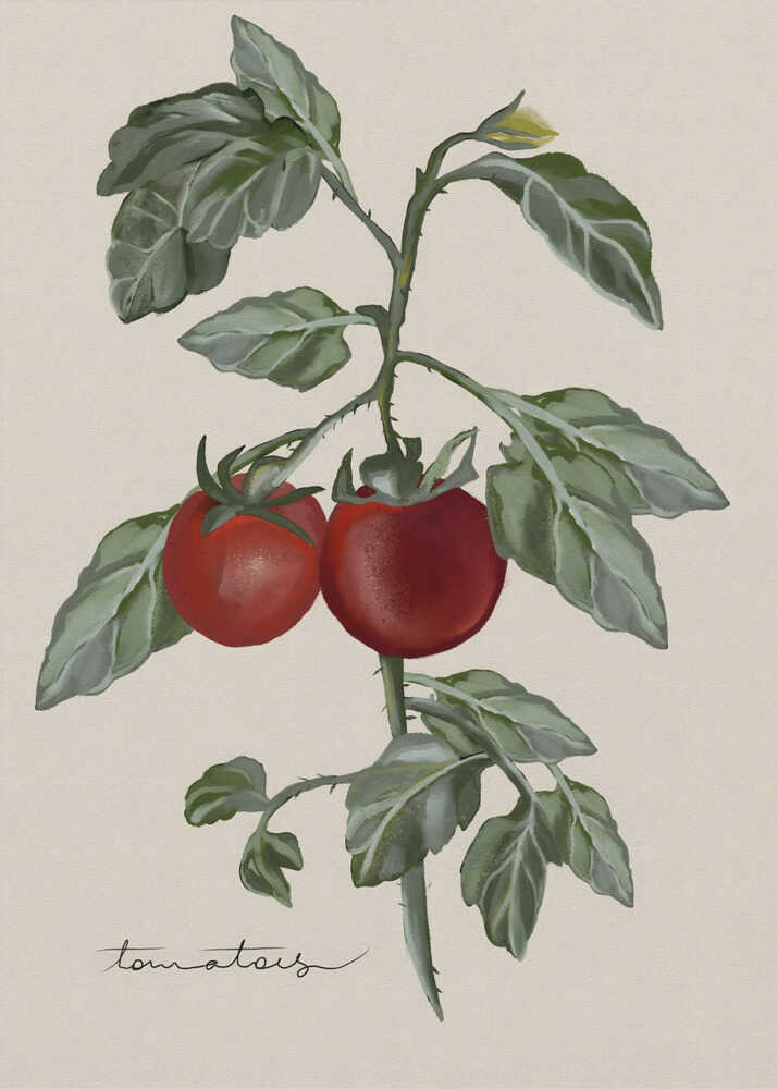 Jardin vintage | Toile