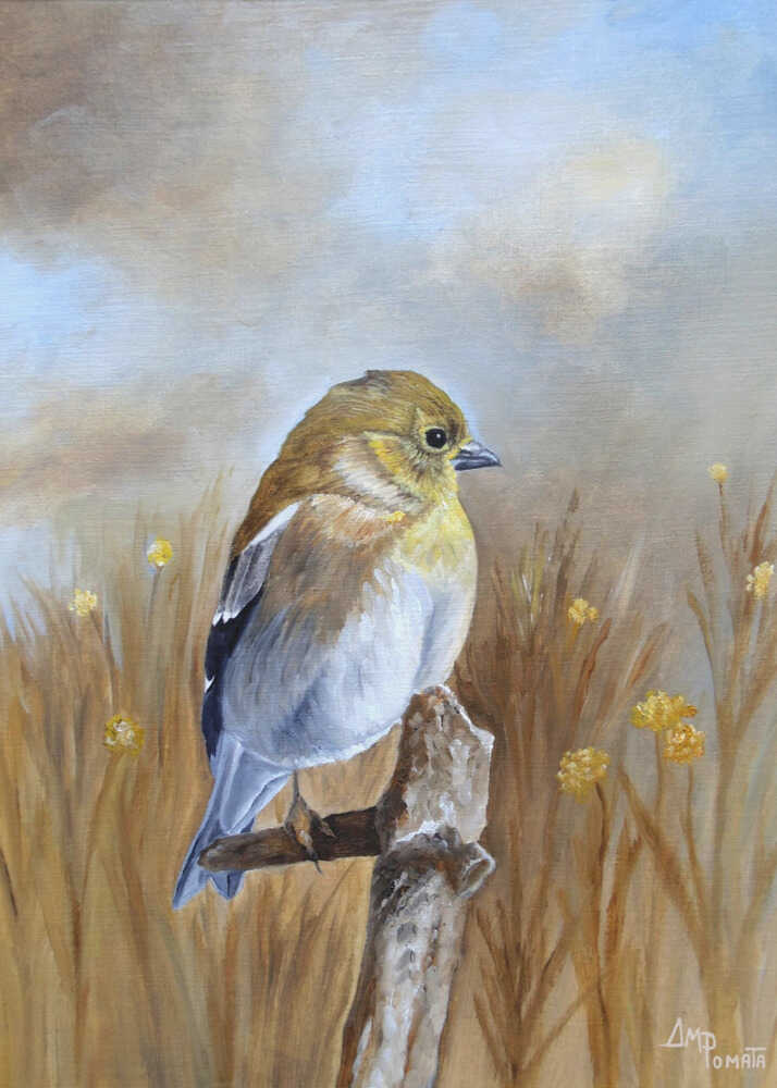 Amerikanischer Goldfink im Herbstlicht | Poster