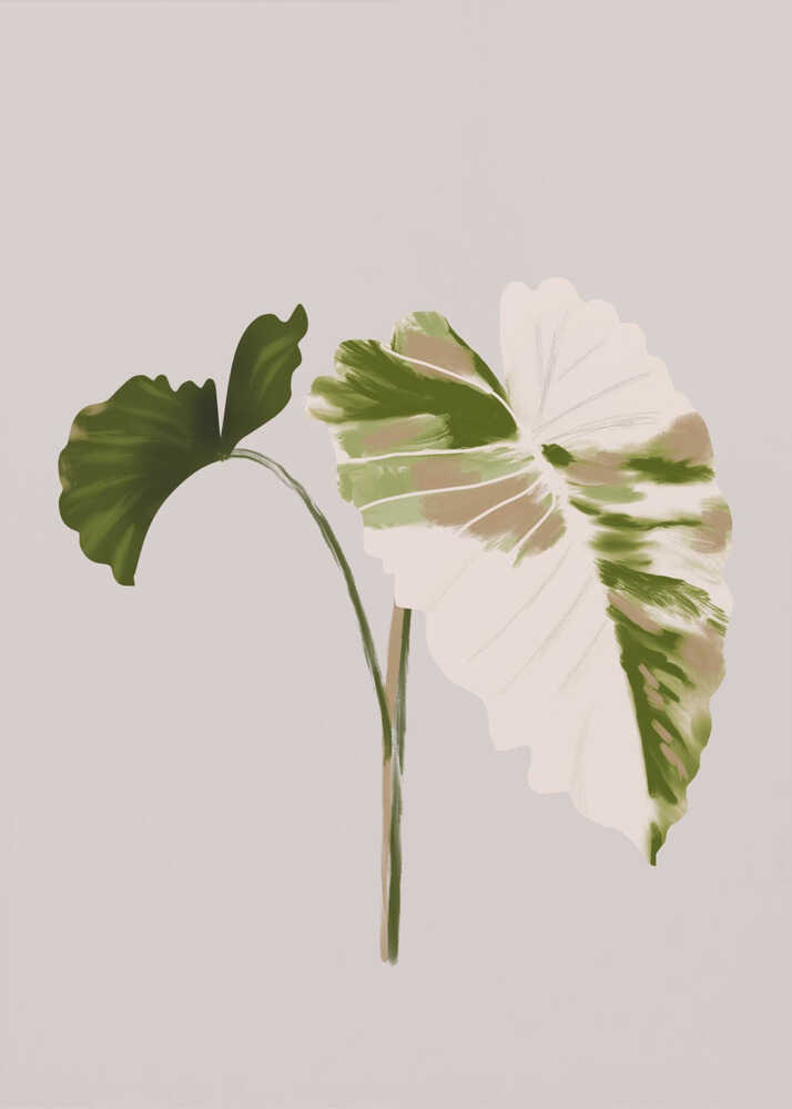 Filodentro Tropische Blätter | Leinwand