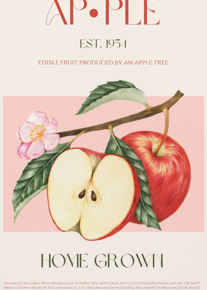 Pommes récoltées | Affiche