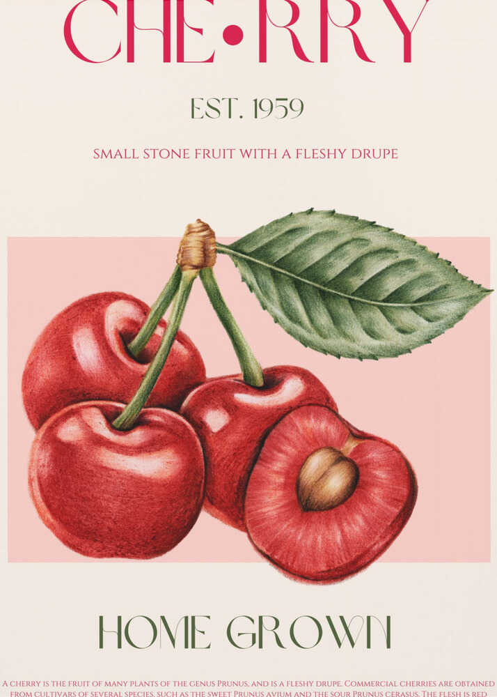 Süße rote Kirschen | Poster