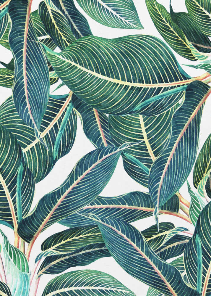 Edge and Dance Botanical | Canvas